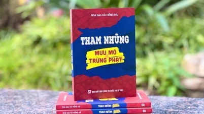 សៀវភៅនេះប្រមូលផ្តុំនូវបទពិសោធន៍ប្រឆាំងអំពើពុករលួយពីអន្តរជាតិ