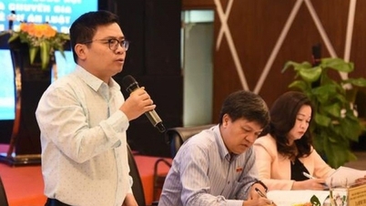 Tham vấn ý kiến về dự thảo Luật Điện lực (sửa đổi) tại Cần Thơ