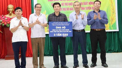 Bộ NNPTNT 10.000 con gà giống, cùng thức ăn và quà hỗ trợ cho người dân vùng lũ ở Tuyên Quang