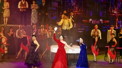 American director excited and impressed by Vietnam's opera "Carmen"
