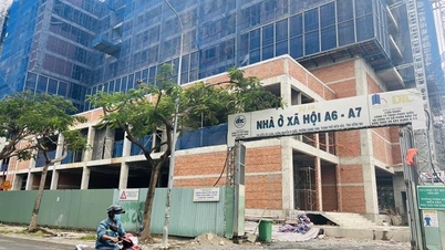 Dong Nai អនុម័តលើលក្ខណៈវិនិច្ឆ័យជ្រើសរើសវិនិយោគិនសម្រាប់គម្រោងលំនៅដ្ឋានសង្គមចំនួន ៧៣៣ ពាន់លានដុង