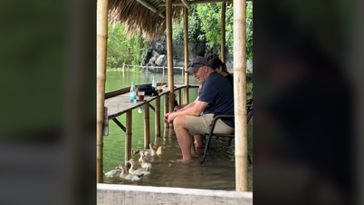 ភ្ញៀវ​ទេសចរ​លោក​ខាង​លិច​ទទួល​បាន​បទពិសោធន៍​«​ស្រក់​»​កាហ្វេ សត្វ​ទា​ហែល​យ៉ាង​រីករាយ​ក្រោម​ជើង​របស់​ពួកគេ​នៅ Ninh Binh
