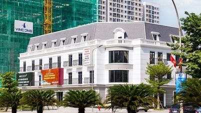 Khẩu vị của nhà đầu tư bất động sản sau khi các luật mới có hiệu lực