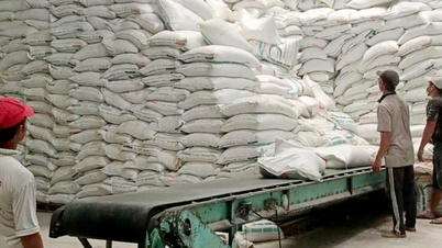 Rice prices drop sharply, farmers worry about losing Tet