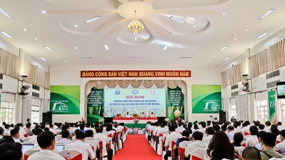 Agribank sẵn sàng nguồn vốn phục vụ Đề án 1 triệu héc ta lúa chất lượng cao