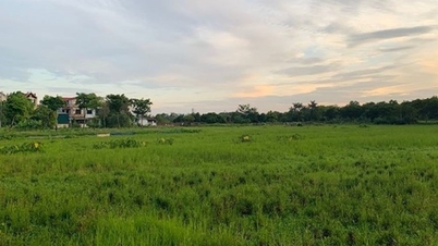 តើអ្នកណាត្រូវបានលើកលែងពីការកេងប្រវ័ញ្ច និងប្រើប្រាស់ឯកសារដីធ្លី?