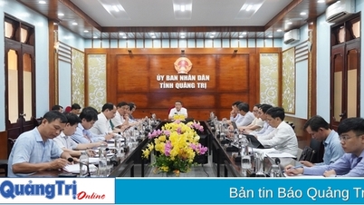 Rà soát, sắp xếp các dự án khu vực cảng Mỹ Thủy và điều chỉnh chủ trương đầu tư dự án Trung tâm dịch vụ hậu cần logistics Khu kinh tế Đông Nam