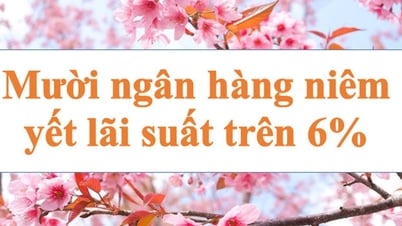 Mười ngân hàng niêm yết lãi suất trên 6%