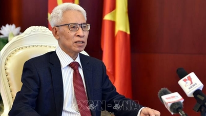 Ambassador Pham Sao Mai: The visit to Vietnam by General Secretary and President of China Xi Jinping will elevate the Vietnam-China comprehensive strategic cooperative partnership.