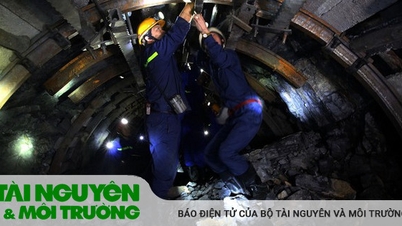 Le Premier ministre demande que l'on se concentre sur les conséquences du grave accident minier de Quang Ninh