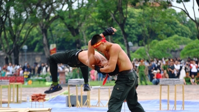 Mãn nhãn màn biểu diễn võ thuật, trấn áp tội phạm của lực lượng công an