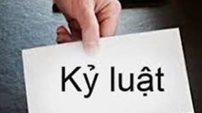 ហេតុអ្វីបានជាអនុប្រធានមន្ទីរធនធានធម្មជាតិ និងបរិស្ថានខេត្ត Quang Tri ត្រូវបានដាក់វិន័យ?