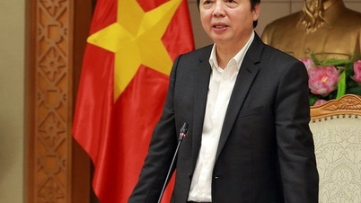 Lập đề án thí điểm để gỡ khó các dự án điện khí, điện gió ngoài khơi