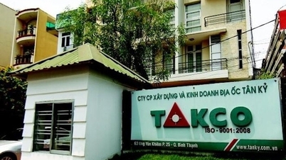 Tan Ky Real Estate (TKC) Chairman sold all shares before suspension