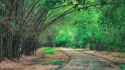 48 giờ ở Bình Dương