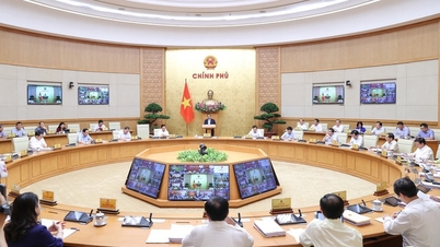 Điều chỉnh phân công Thành viên Chính phủ chủ trì làm việc địa phương về tình hình sản xuất kinh doanh, đầu tư xây dựng…