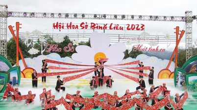 This weekend, Binh Lieu Sophora Flower Festival 2024 takes place.