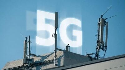Popular forms of spectrum auction organization in the world