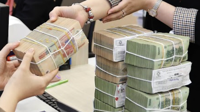 A bank suddenly launched a loan package with an interest rate of 1.2%/year