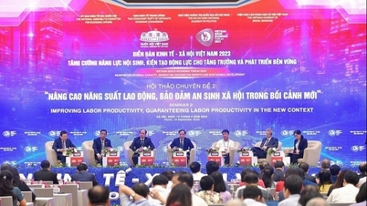Activities to promote labor productivity improvement need to be implemented more strongly.