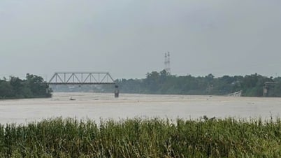 ការសាងសង់ស្ពានថ្មី Phong Chau ជាបន្ទាន់