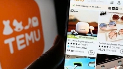 Cộng đồng mạng đánh giá về Temu: Giá không rẻ, hoài nghi chất lượng