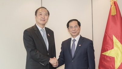 Korea supports Vietnam in developing public administration and digital transformation