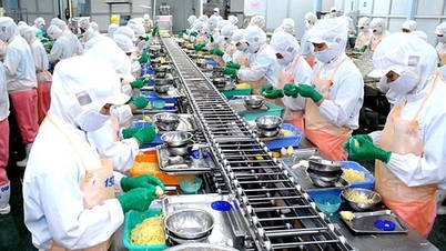 Lộ diện tỉnh duy nhất Việt Nam có vốn FDI vượt mốc 3 tỷ USD