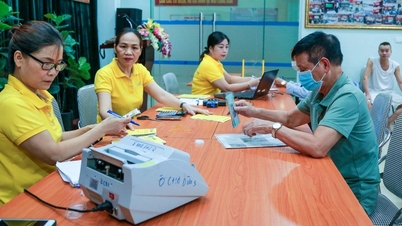 Đóng bảo hiểm xã hội 15 năm có lương hưu, tỷ lệ hưởng ra sao?