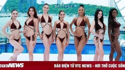 Miss Grand International 2024 Final Live៖ តើ Que Anh មានឱកាសបញ្ចេញពន្លឺទេ?