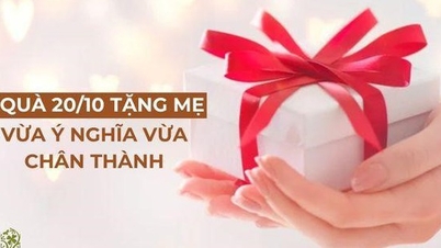 តើ​អំណោយ​អ្វី​ខ្លះ​ដែល​ខ្ញុំ​គួរ​ជូន​ម្តាយ​ខ្ញុំ​នៅ​ថ្ងៃ​ទី ២០ តុលា ដែល​មាន​អត្ថន័យ និង​ចិត្ត​ស្មោះ?