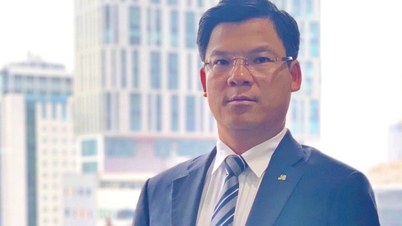 Hoa Binh Construction Group has a new General Director