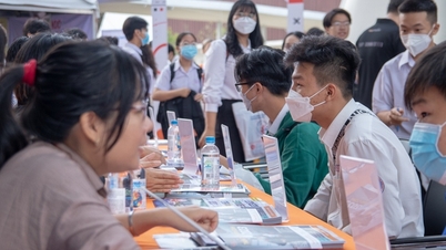 Tư vấn hướng nghiệp cho học sinh không nên dừng ở phạm vi trong nước