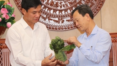 Kon Tum tặng 2.000 cây giống sâm Ngọc Linh cho Lai Châu trồng thử