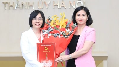 លោកស្រី Nguyen Thi Thu Thuy កាន់តំណែងជាអនុប្រធានការិយាល័យគណៈកម្មាធិការបក្សទីក្រុងហាណូយ។
