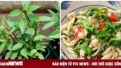 តើ​ការ​ទទួលទាន​ផ្លែ​ប៉ោម​ជា​ប្រចាំ​មាន​អត្ថប្រយោជន៍​អ្វីខ្លះ​?