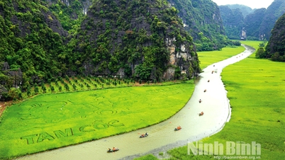 ថែរក្សាតម្លៃទេសភាពនៃទន្លេ Ngo Dong