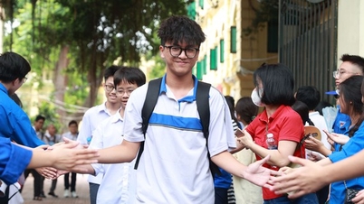 The most accurate benchmark scores for grade 10 in Hanoi in 2024