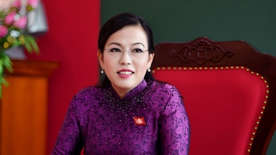 លោកស្រី Nguyen Thanh Hai កាន់តំណែងជាប្រធានគណៈកម្មាធិការកិច្ចការគណៈប្រតិភូ។
