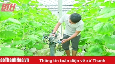ការប្រើប្រាស់បច្ចេកវិទ្យាក្នុងផលិតកម្មកសិកម្ម។