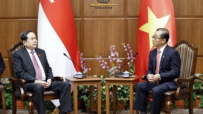 Việt Nam và Singapore tăng cường giám sát trong triển khai các hiệp định về lĩnh vực kinh tế xanh, kinh tế số