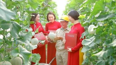 Agribank បែង​ចែក​ជាង 180,000 ពាន់លាន​ដុង​ក្នុង​ដើមទុន​អនុគ្រោះ​ជាមួយនឹង​អត្រា​ការប្រាក់​ទាប​ដើម្បី​ផ្គត់ផ្គង់​អតិថិជន​ក្នុង​ការផលិត​និង​អាជីវកម្ម។