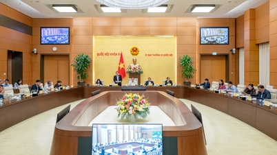 Agree to submit to the National Assembly for consideration the investment policy of the North-South high-speed railway project at the 8th Session