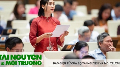 Cần có chính sách ưu tiên đối với hộ nghèo, hộ đồng bào dân tộc thiểu số về đất đai