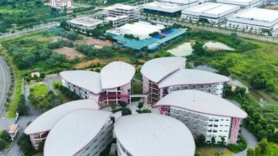 Proposal to pilot investment support in high-tech sector