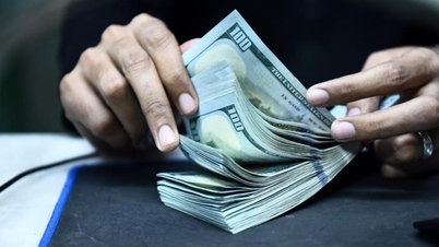 ការព្យាករណ៍ USD នឹងបន្តធ្លាក់ចុះ