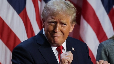 Ông Trump thắng toàn bộ 7 bang chiến địa, về đích với 312 phiếu