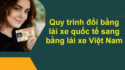 Quy trình đổi bằng lái xe quốc tế sang bằng lái xe Việt Nam: Những điều cần biết