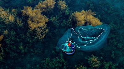 Paseos en barco por los campos de algas en Quy Nhon