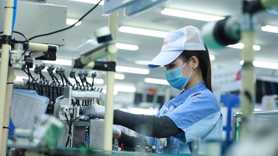 ក្នុងខែដំបូងនៃឆ្នាំ 2024 ដើមទុន FDI ហូរចូលវៀតណាមយ៉ាងខ្លាំង